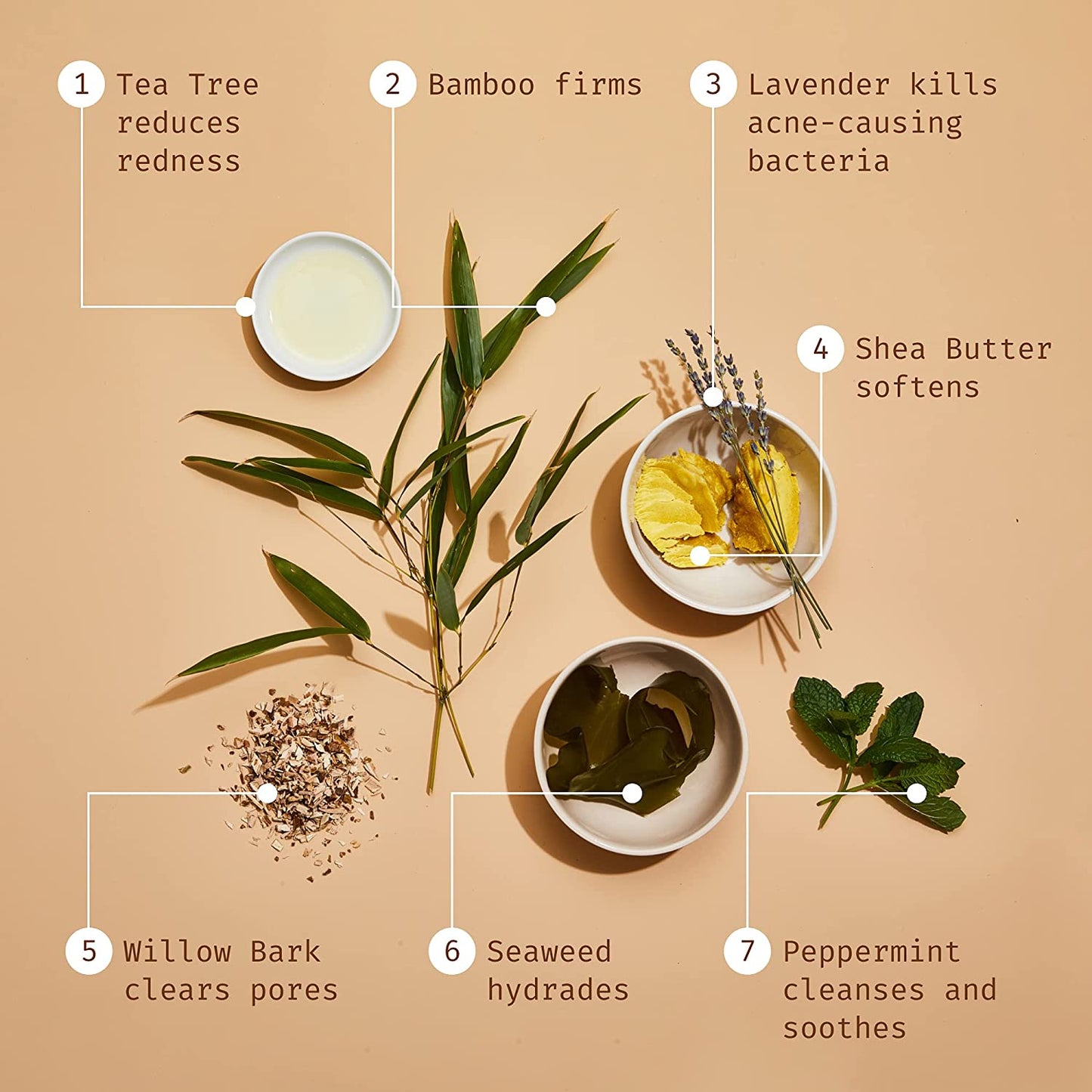 Botanic Tree face cleanser ingredient